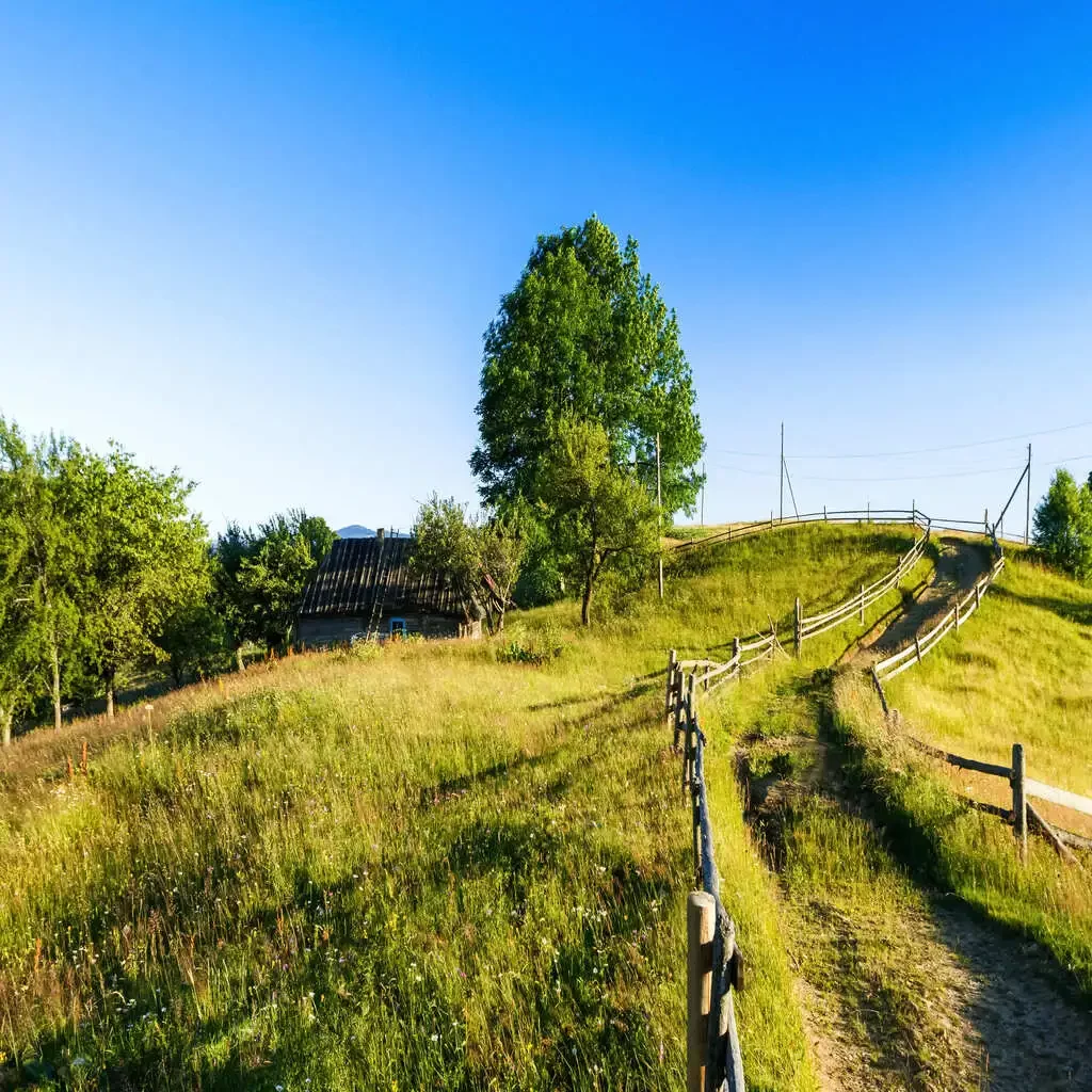 trail